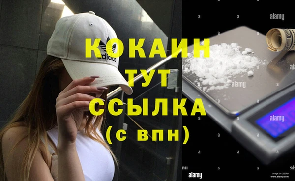 дживик Семикаракорск