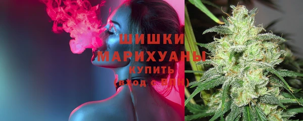 дживик Семикаракорск